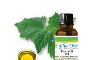 Patchouli Oil can Treat Depression and Mood Swings: Benefits and Uses