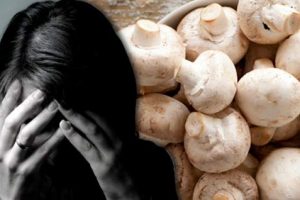 Magic Mushrooms for Treating Depression